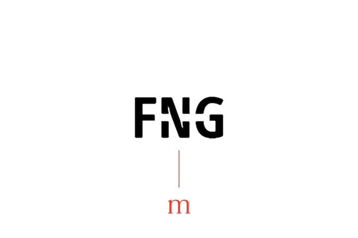 Merodis assists FNG with its EUR 30m capital raise
